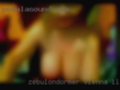 Zebulondormer Vienna Illinois